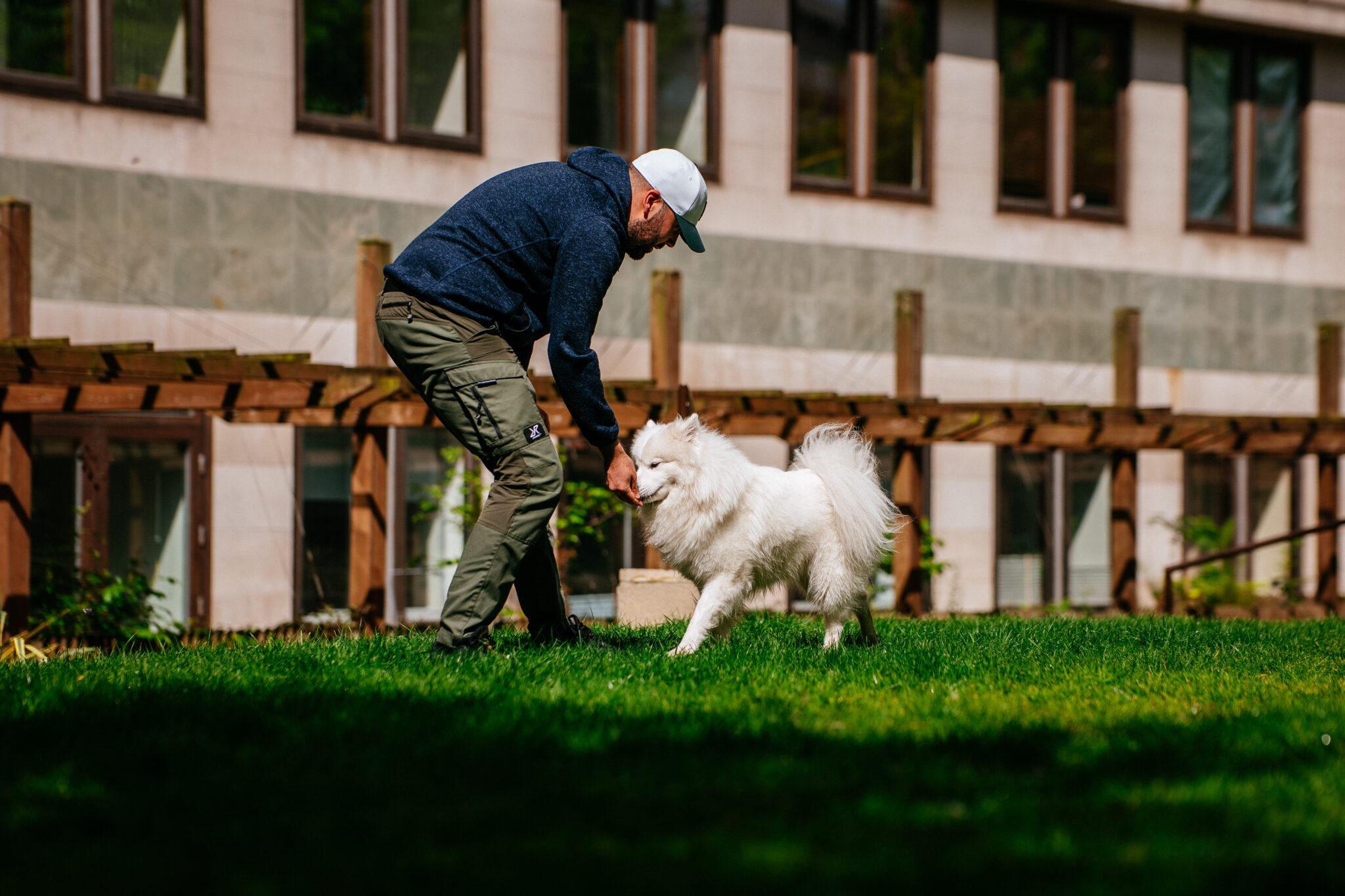 Jack helping dog develop calm behaviour around distractions