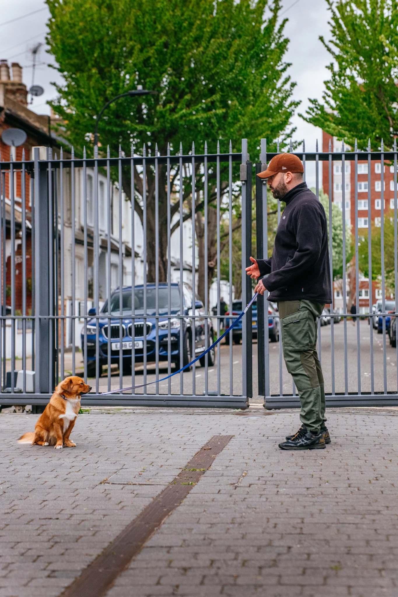 Dog behaviourist Jack improving focus and engagement with young dog